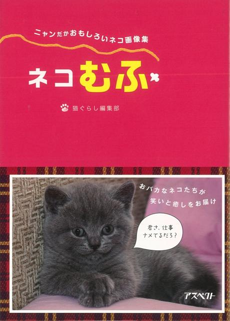 楽天ブックス バーゲン本 ネコむふーニャンだかおもしろいネコ画像集 猫ぐらし編集部 本