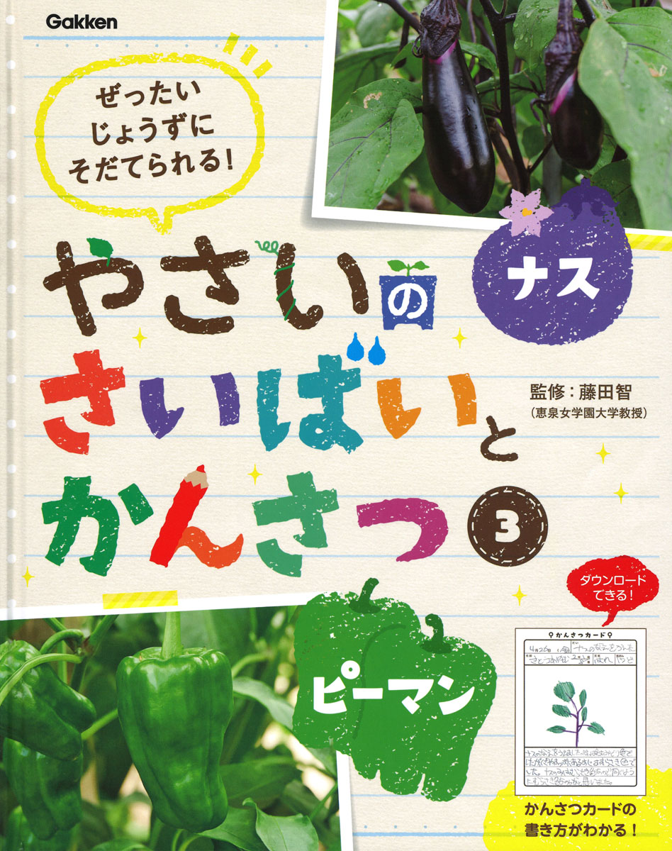 楽天ブックス 3 ナス ピーマン 藤田智 本