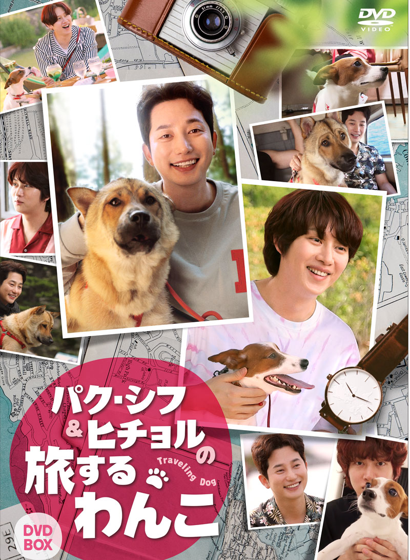 ブックス: パク・シフ＆ヒチョルの旅するわんこ DVD-BOX - パク・シフ - 4571423732817 : DVD