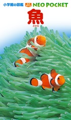 楽天市場】小学館の図鑑 NEO POCKET -ネオぽけっと- 既15巻 '24年度
