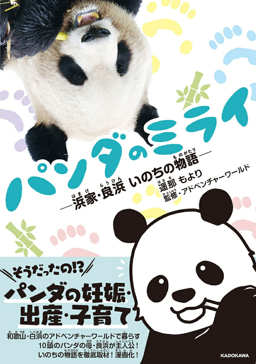 シャンシャン まちがい探し2　本2冊　缶バッジ　4種類　パンダ シャンシャン まちがい探し2 本2冊 缶バッジ 4種類 パンダ