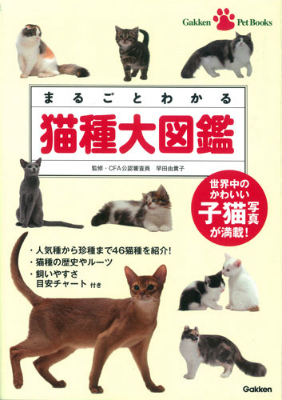 楽天ブックス まるごとわかる猫種大図鑑 世界中のかわいい子猫写真が満載 早田由貴子 本