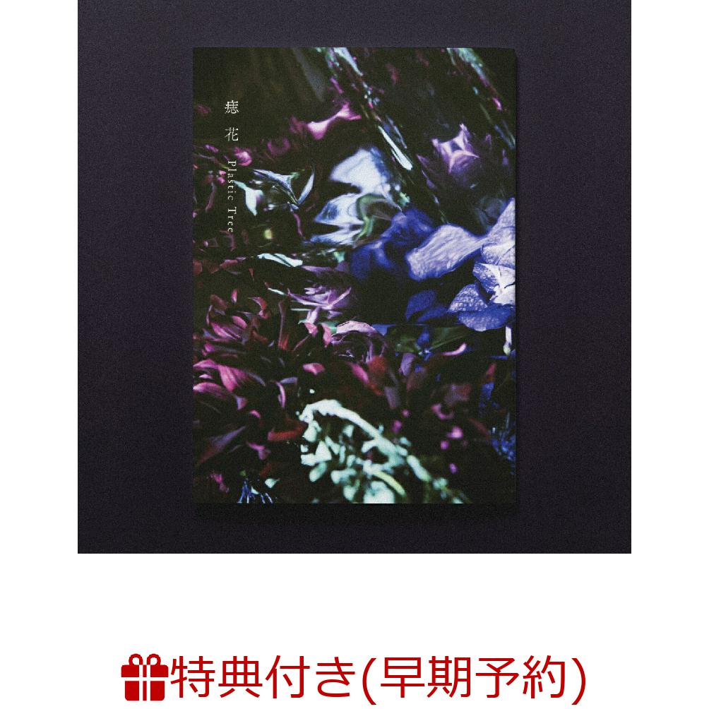 ͽŵ+ŵܲ(CDBOOK)(ܲ֡ץꥸʥ뤷+ܲ֡ץꥸʥ륹ƥå)[PlasticTree]