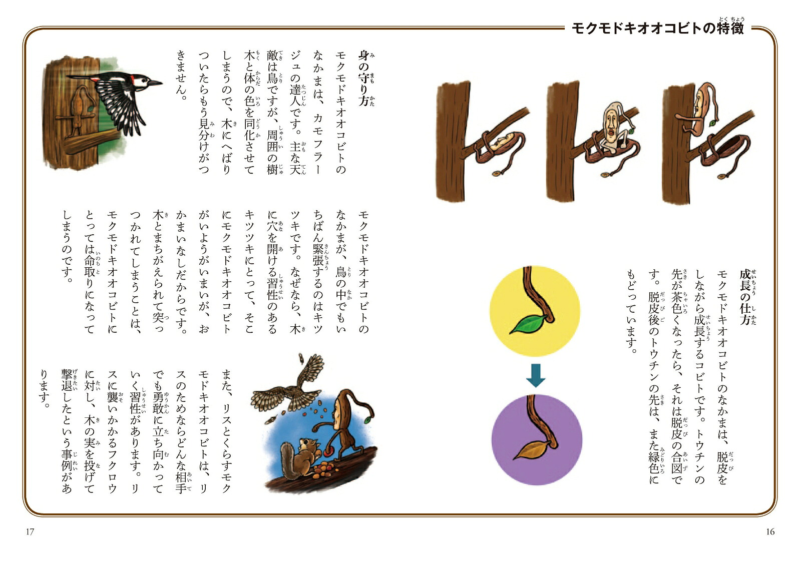日本のこびと大全山や森林編おでかけポケット図鑑（こびとづかん）[なばたとしたか]