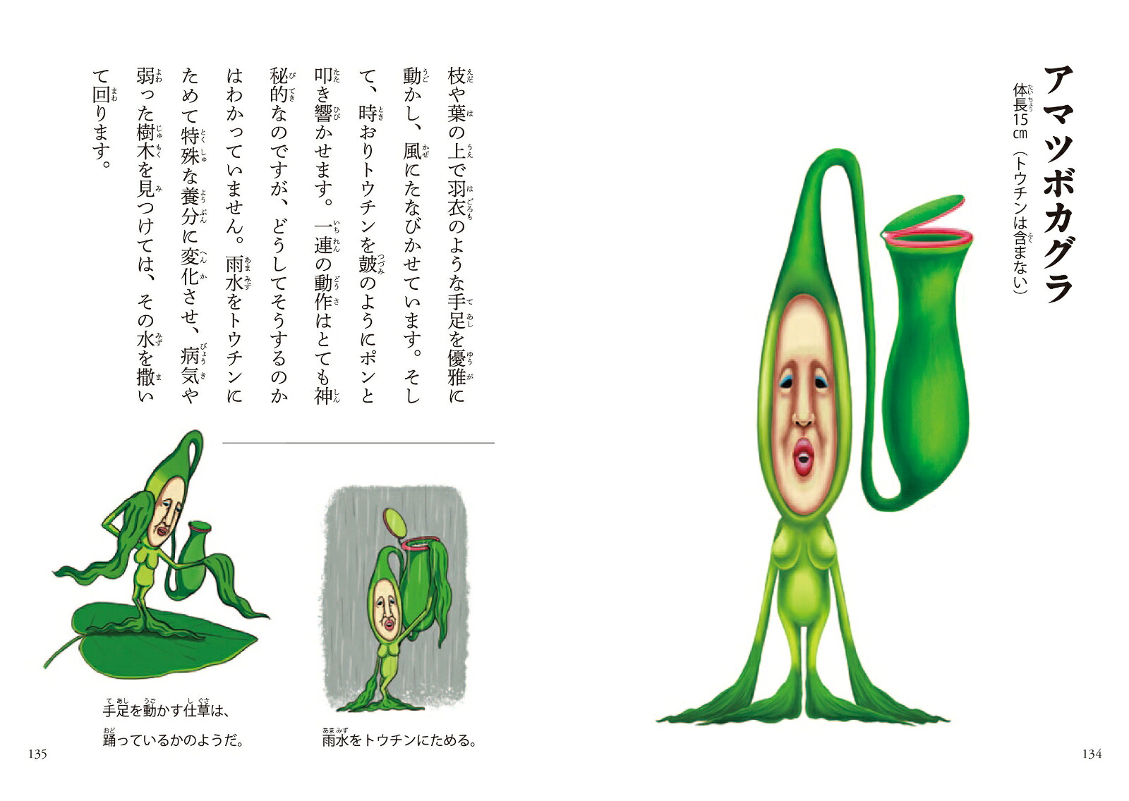 日本のこびと大全山や森林編おでかけポケット図鑑（こびとづかん）[なばたとしたか]