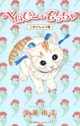 ٤ӡä㤴褦ԡʽѼҥۡॳߥå[ƣͳ]