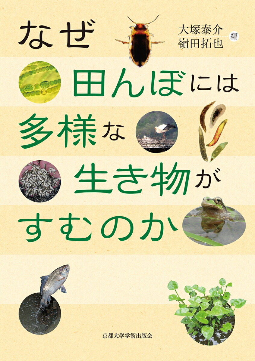 楽天ブックス なぜ田んぼには多様な生き物がすむのか 大塚 泰介 9784814002856 本