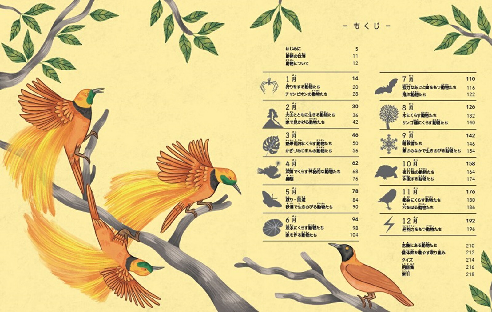 動物366ずかん[今泉忠明]