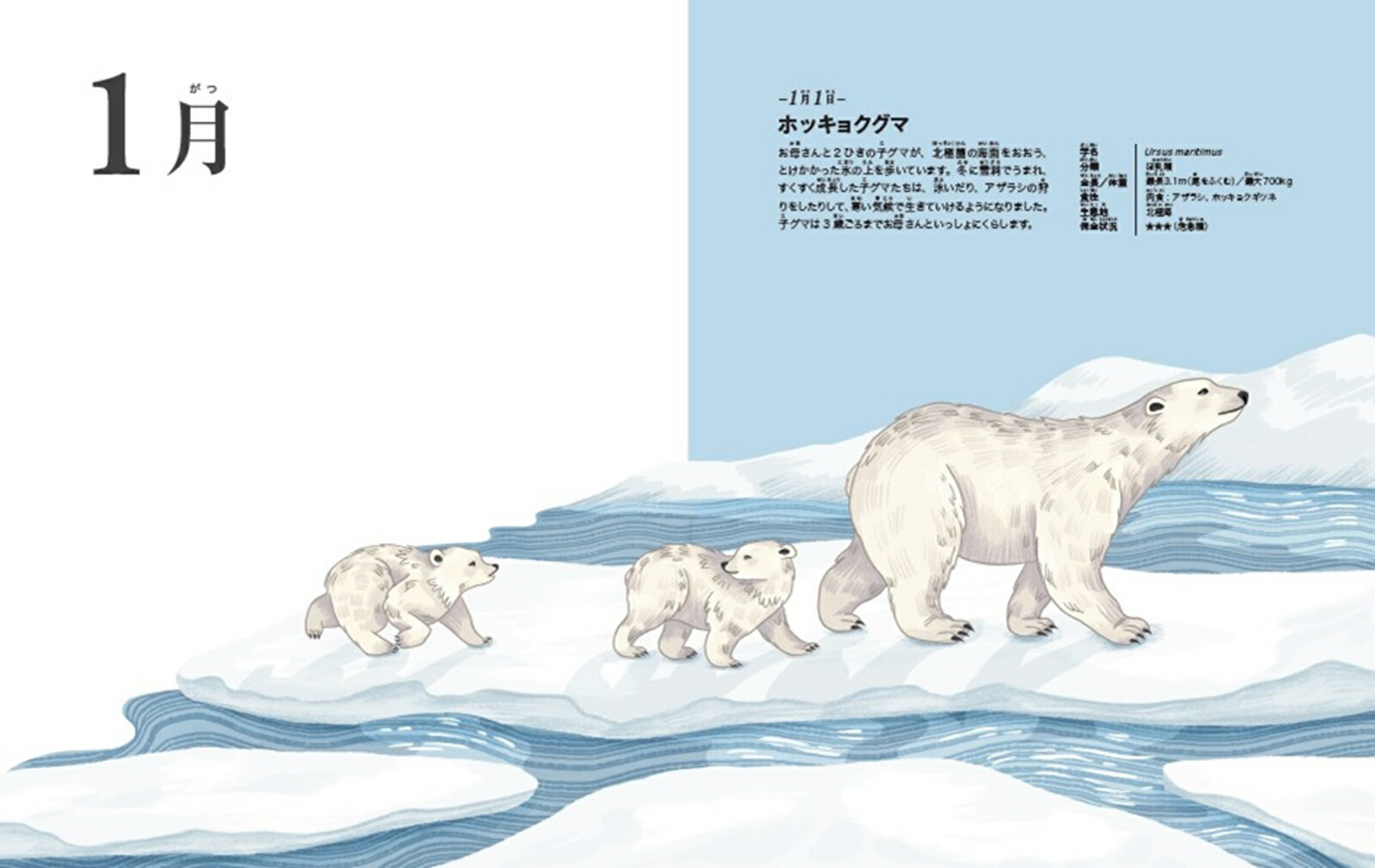 動物366ずかん[今泉忠明]