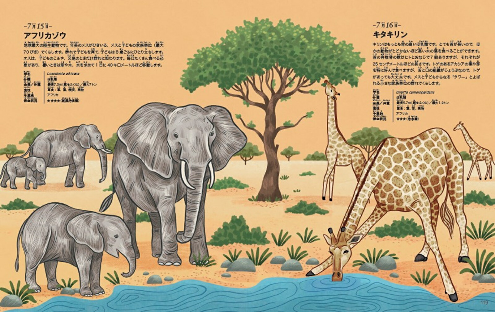 動物366ずかん[今泉忠明]