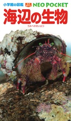 楽天市場】小学館の図鑑 NEO POCKET -ネオぽけっと- 既15巻 '24年度