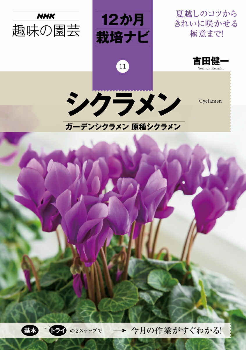楽天ブックス シクラメン ガーデンシクラメン 原種シクラメン 吉田 健一 本 楽天ブックス シクラメン ガーデンシクラメン 原種シクラメン 吉田 健一 本