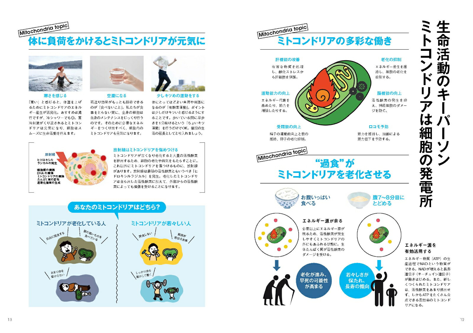 ڳŷ֥åŵۺ˦٥ϷʤǶο(˦֤뿩ʪ2025)TJMOOK[˭ʸ]