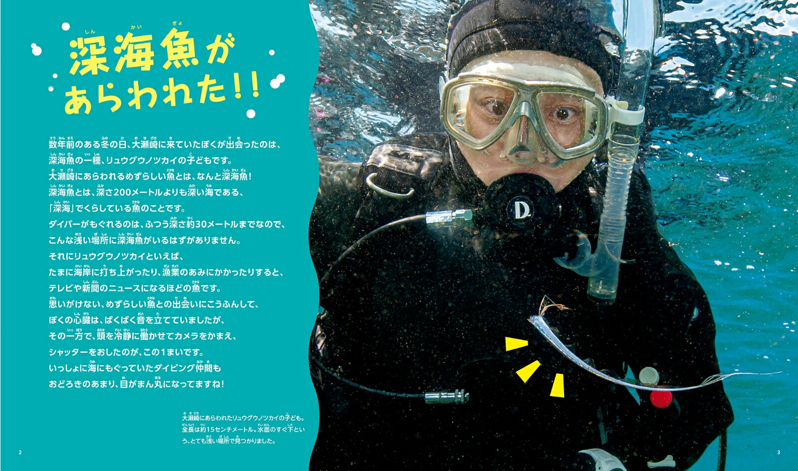 �������˲񤨤볤[�ٸ��½�]
