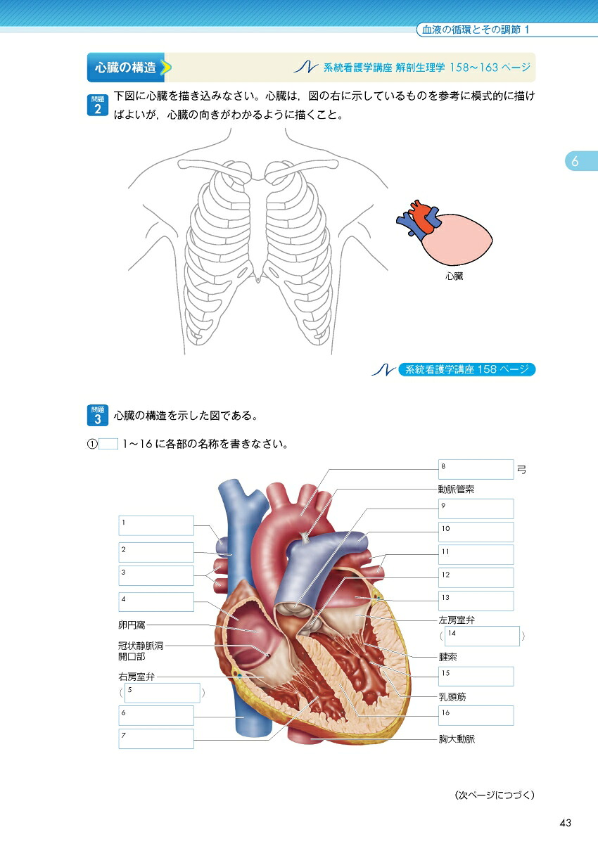 2026年版『系統看護学講座』準拠解剖生理学ワークブック[坂井建雄]