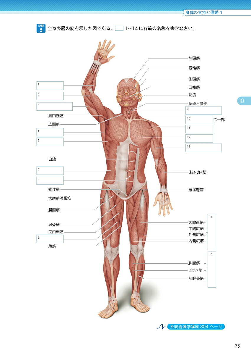 2026年版『系統看護学講座』準拠解剖生理学ワークブック[坂井建雄]