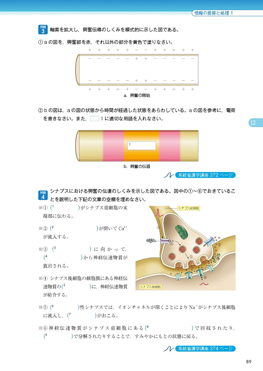 2026年版『系統看護学講座』準拠解剖生理学ワークブック[坂井建雄]