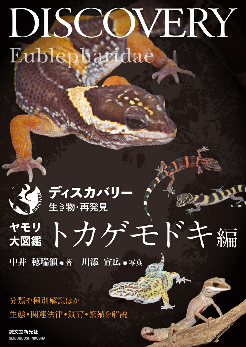 楽天市場】ディスカバリー 生き物・再発見 トカゲ大図鑑