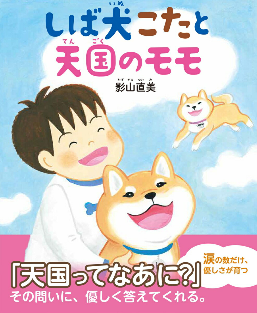 しば犬こたと天国のモモ画像