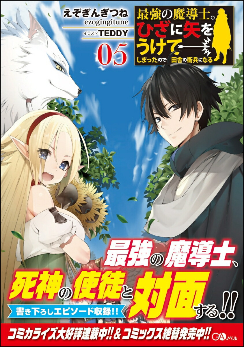 楽天ブックス 最強の魔導士 ひざに矢をうけてしまったので田舎の衛兵になる5 えぞぎんぎつね 本