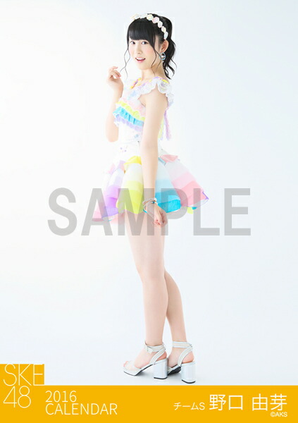 ���������ͳ��2016SKE48�������������̿�(2����Τ���1������������)�ۡڳ�ŷ�֥å������������[���ͳ��]