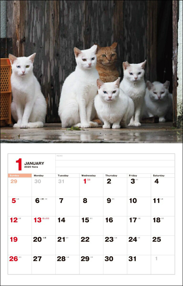 楽天ブックス 猫カレンダー のら 岩合光昭 本