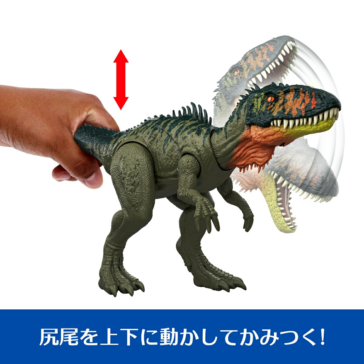 ޥƥ른饷å(JURASSICWORLD)ӥå󡪥ƥΥƥҶե奢εĹ:34.3cm4Ф饰꡼JCL75