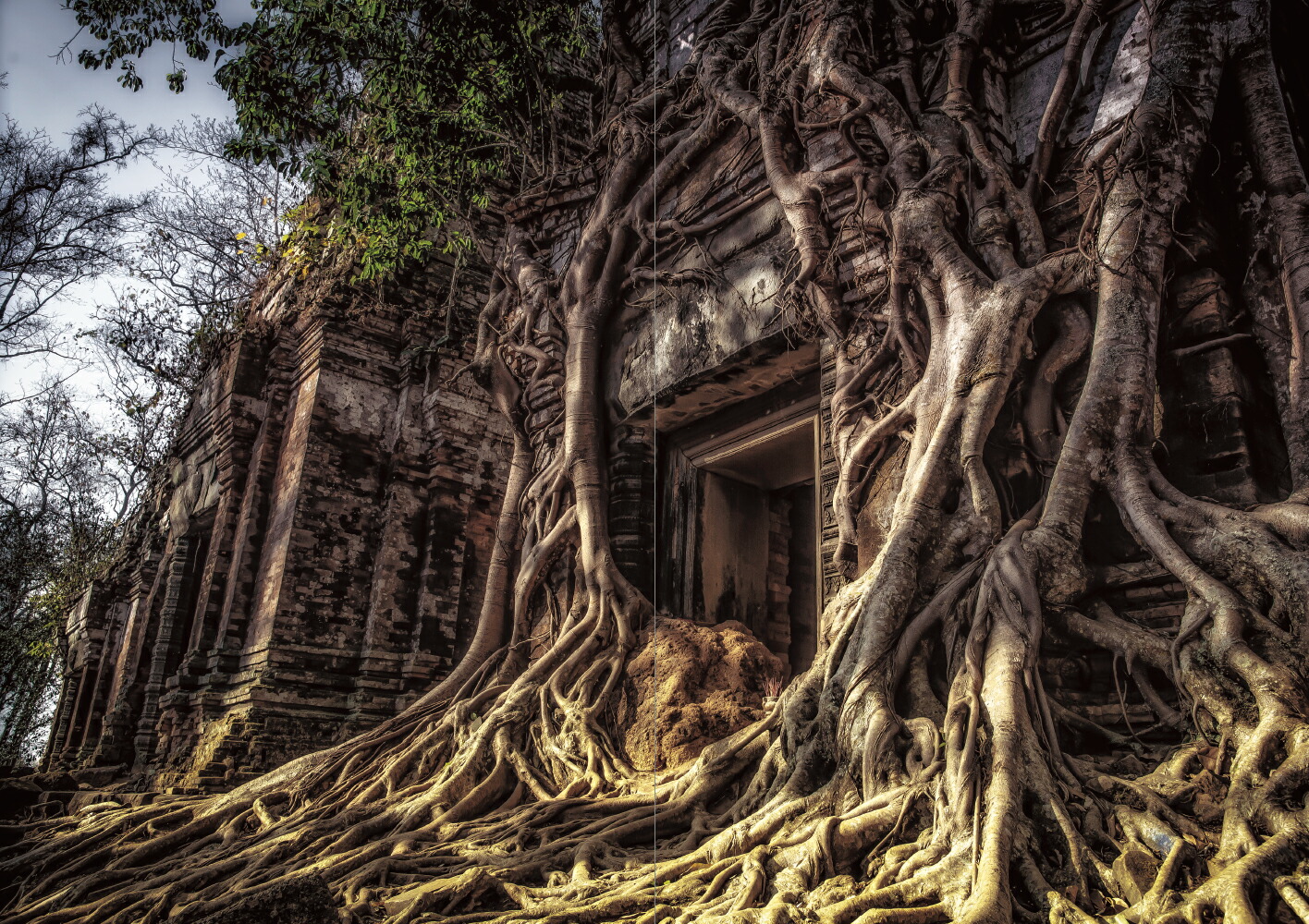 �������˰��ֶᤤ���ե��󥿥����ϥ����ࡦ���˥ᡦ��Υ٤Τ褦�ʸ��¤ηʿ�[ͩ�����ι����������]