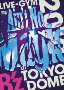 B'z LIVE-GYM 2010 “Ain't No Magic” at TOKYO DOME画像