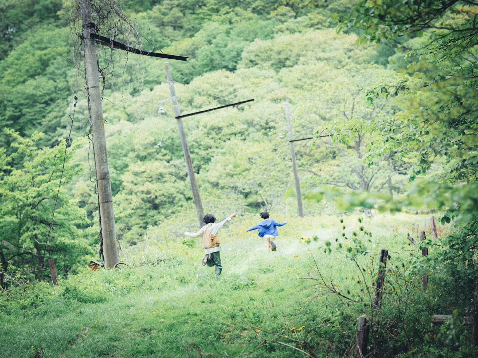 特装版怪物NFTデジタル特典付き（宝島社文庫）[脚本坂元裕二監督是枝裕和著佐野晶]