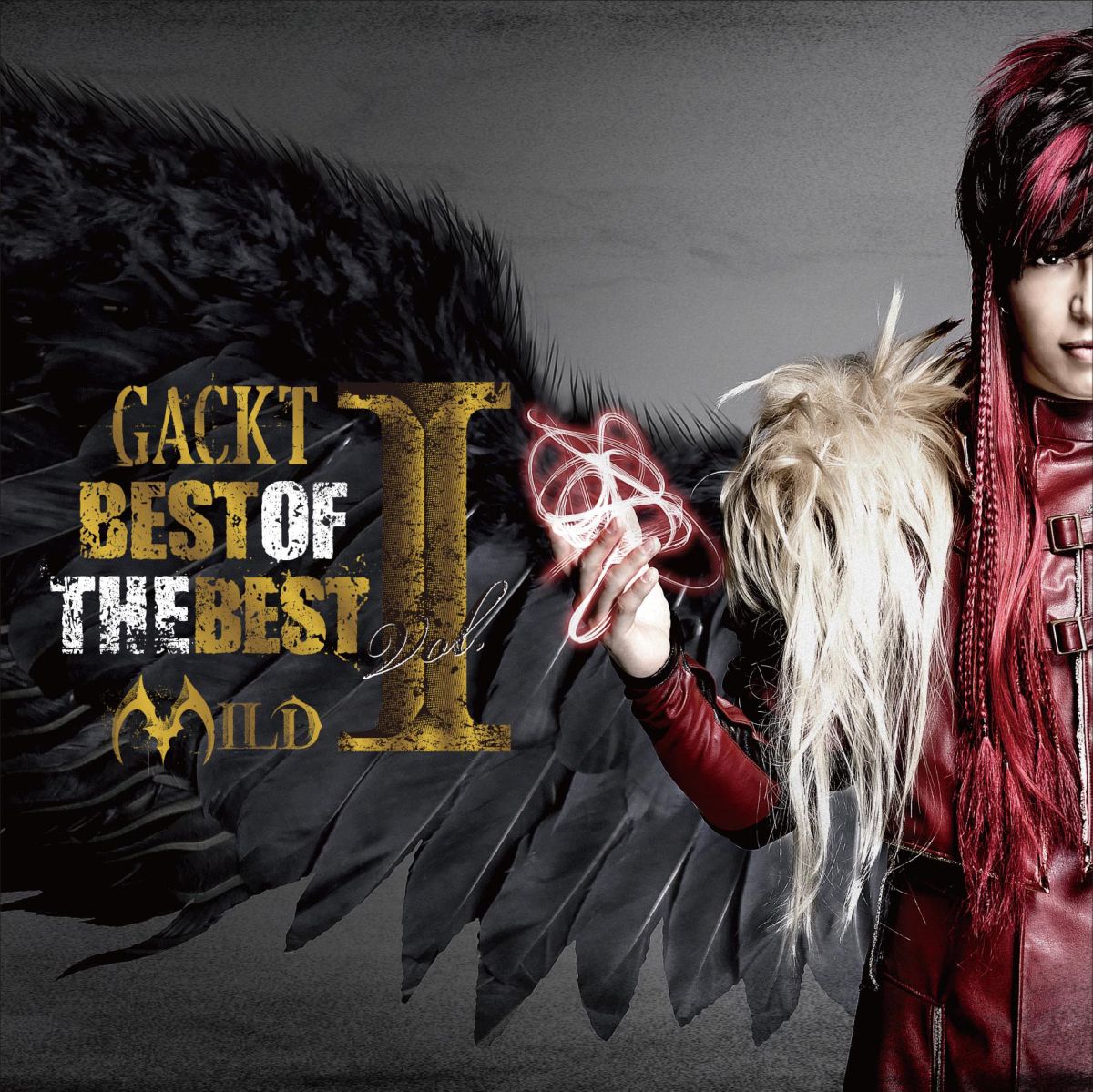 フルオーダー GACKT ポーチ GHOST | vlamor.com