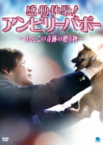 楽天ブックス 感動体験 アンビリーバボー わんこの奇跡の贈り物 ドキュメンタリー Dvd