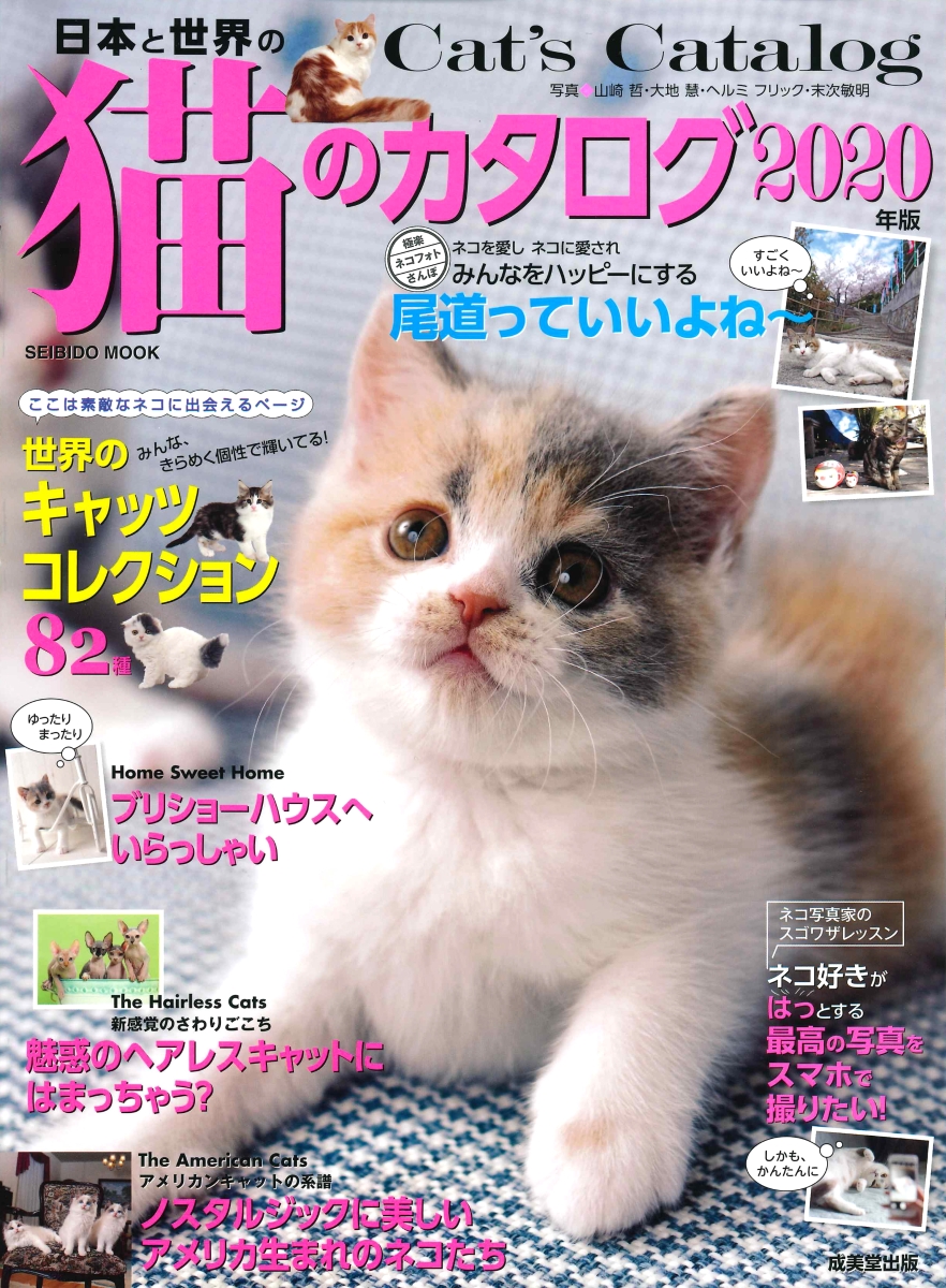 楽天ブックス 日本と世界の猫のカタログ 年版 成美堂出版編集部 本