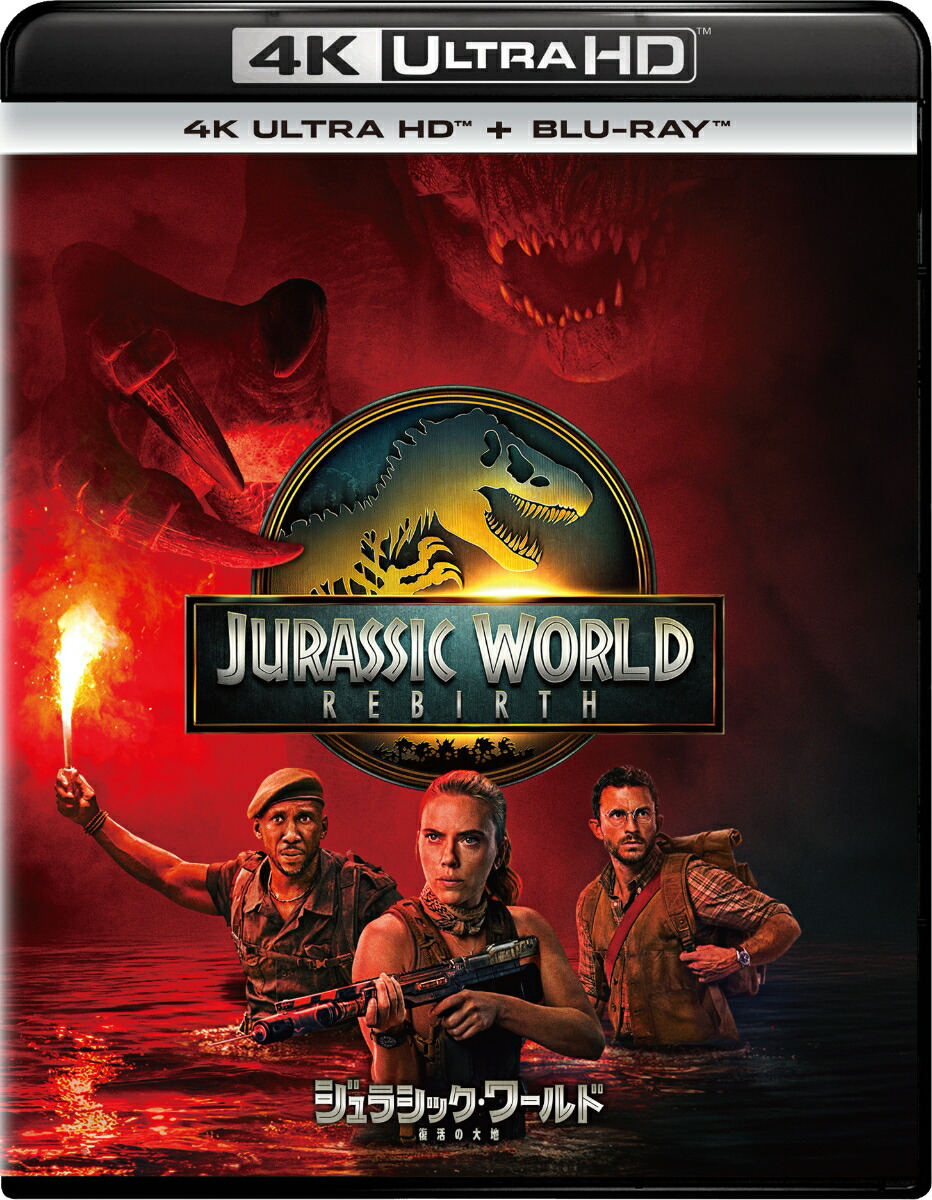 ����饷�å������ɡ����������4KUHD+�֥롼�쥤���åȡ�4KULTRAHD��[��������åȡ���ϥ󥽥�]