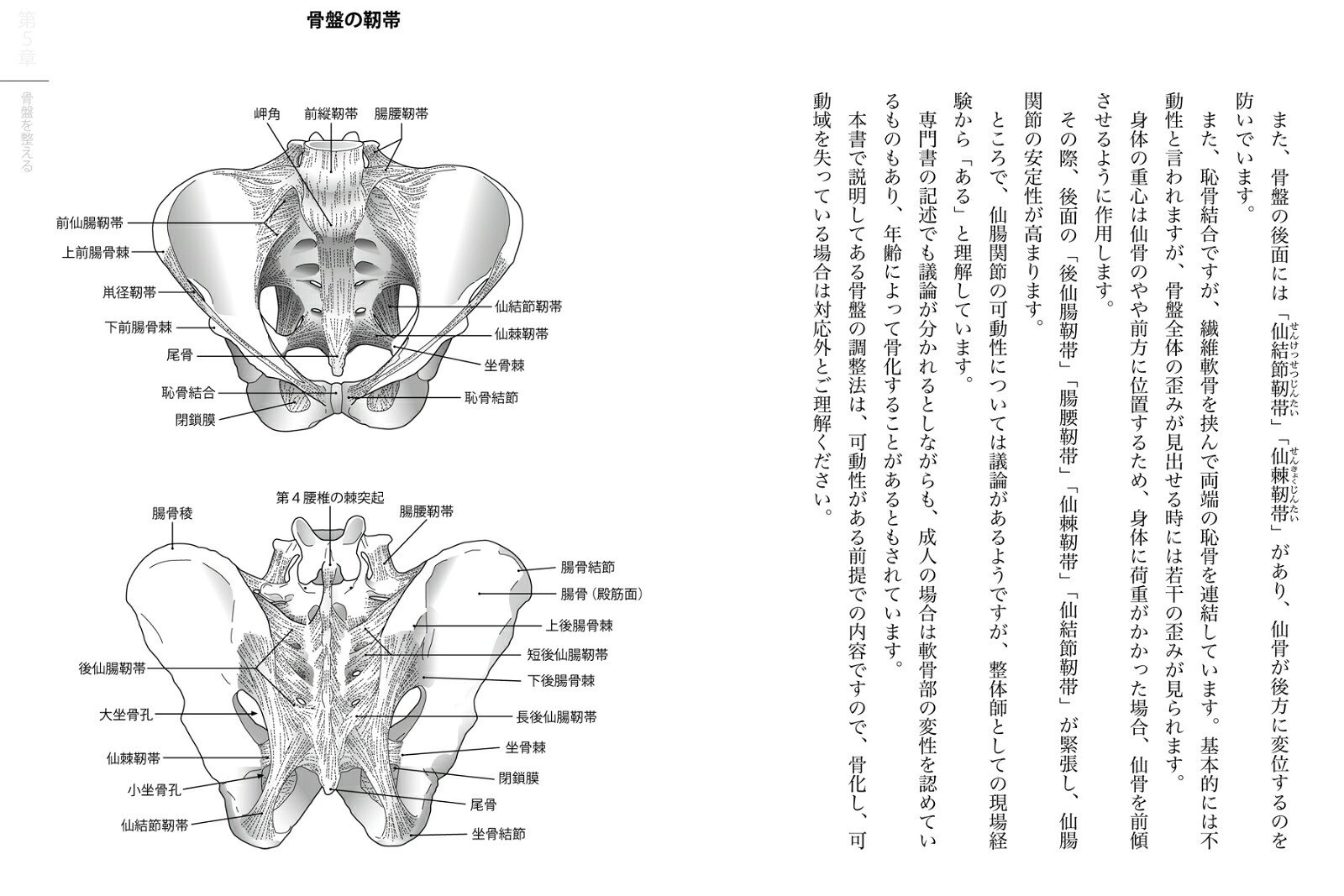 骨と骨をつなぐ要点に、効果的アプローチ！【靭帯療法】「快」の意識で骨格矯正、可動域拡張[中山隆嗣]
