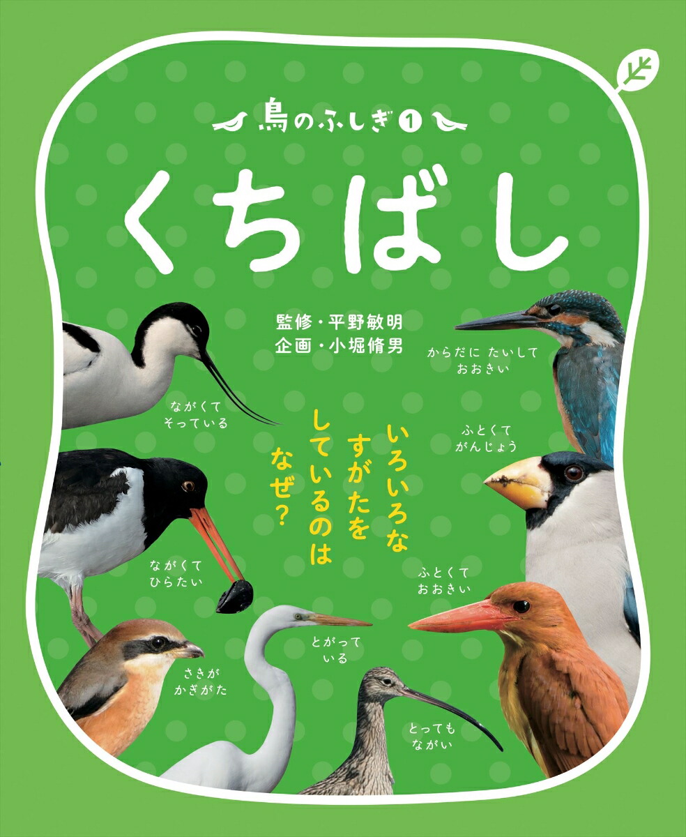 楽天ブックス 鳥のふしぎ1 くちばし いろいろなすがたをしているのは なぜ 平野敏明 本