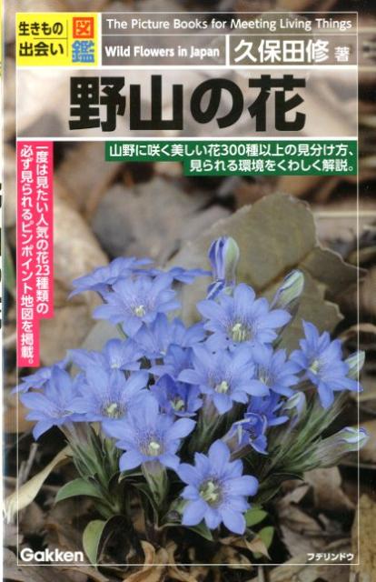 楽天ブックス 野山の花 生きもの出会い図鑑 久保田修 本