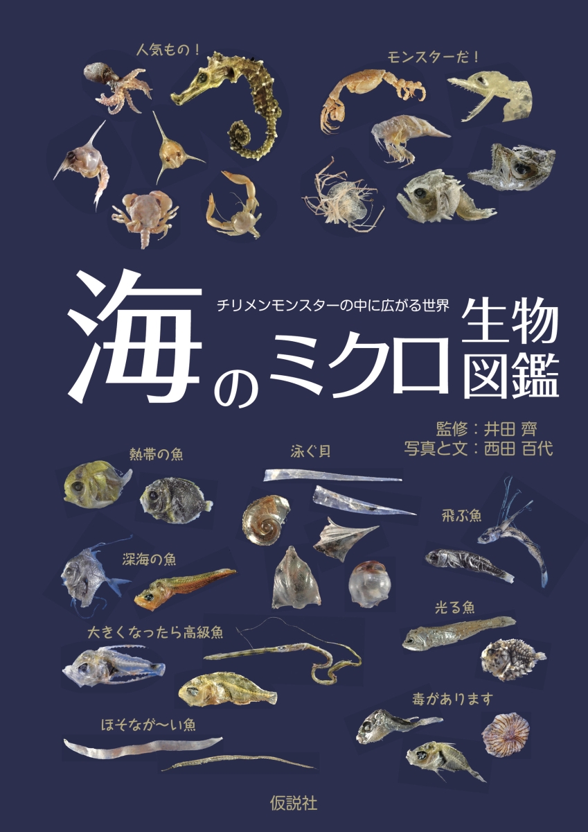 楽天ブックス 海のミクロ生物図鑑 チリメンモンスターの中に広がる世界 西田 百代 本