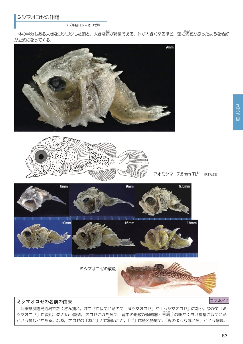 楽天ブックス 海のミクロ生物図鑑 チリメンモンスターの中に広がる世界 西田 百代 本