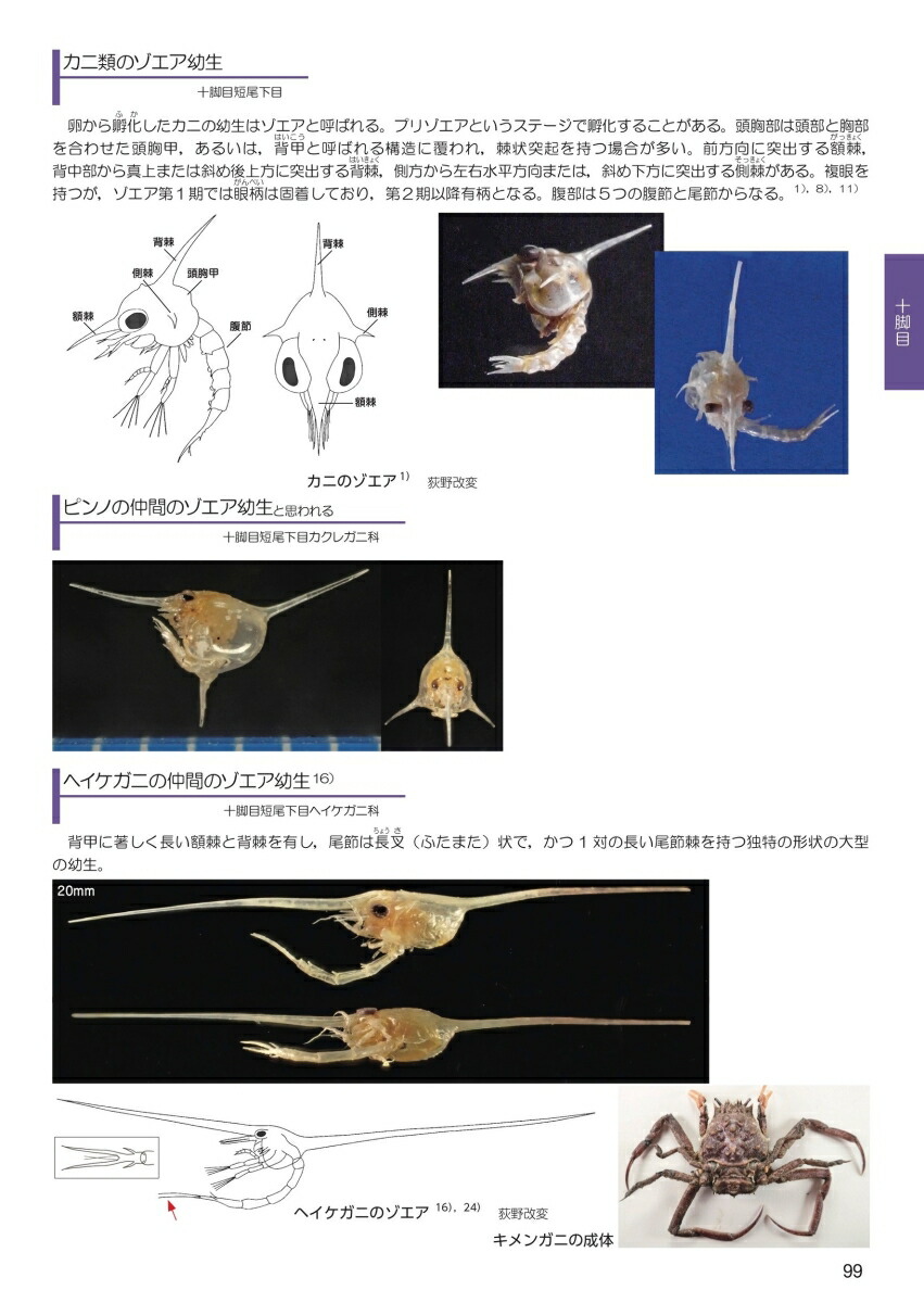 楽天ブックス 海のミクロ生物図鑑 チリメンモンスターの中に広がる世界 西田 百代 本