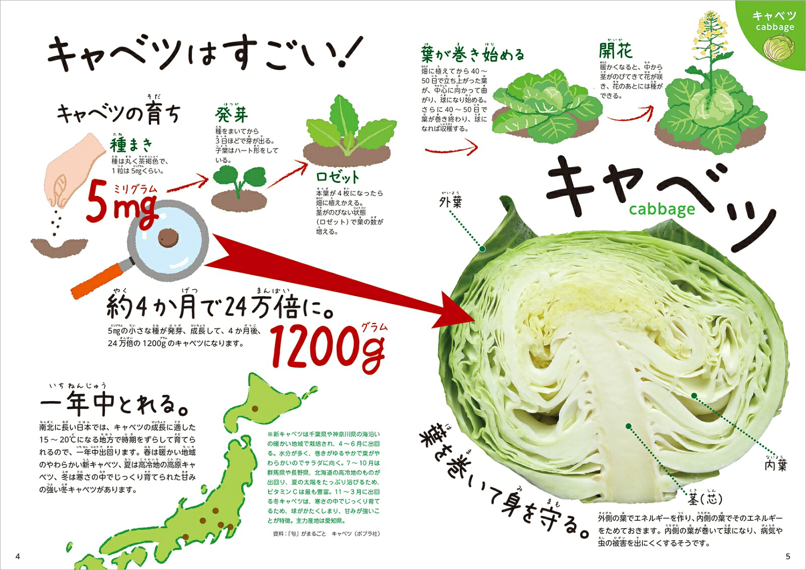 楽天ブックス 野菜の教え 春 夏編 渡邉幸雄 本