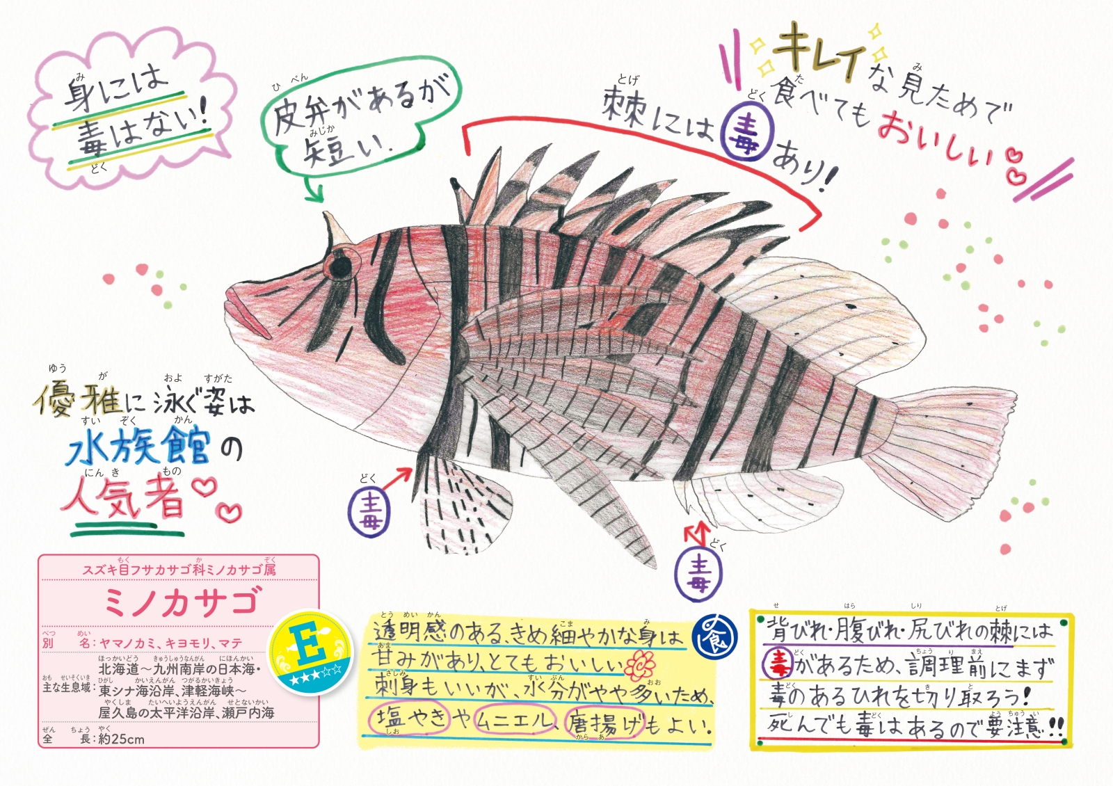 楽天ブックス さかな博士のレアうま魚図鑑 伊藤柚貴 本