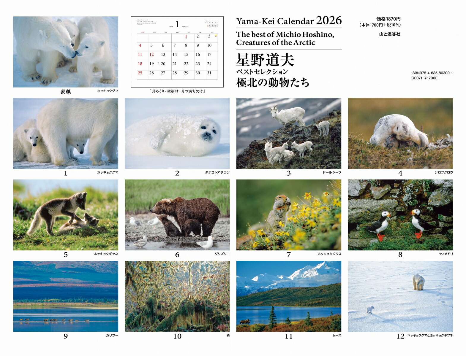 カレンダー2026星野道夫ベストセレクション極北の動物たち（月めくり/壁掛け/アラスカ）（［カレンダー］）