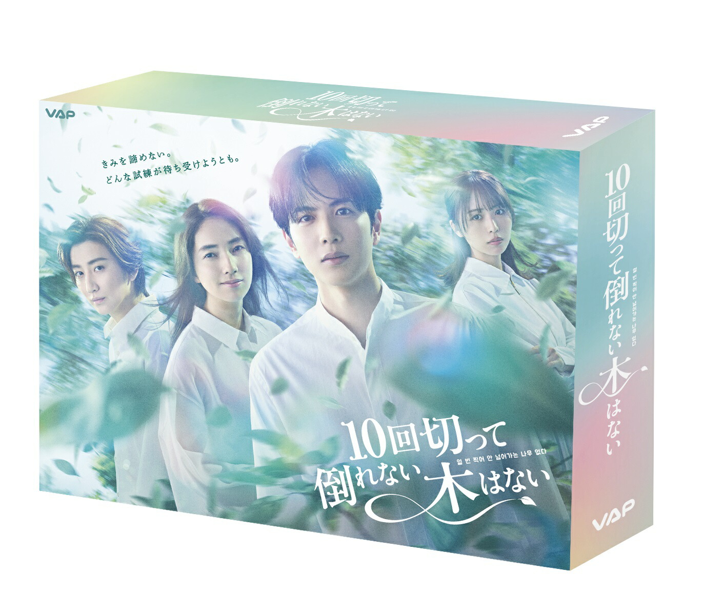 楽天ブックス: 10回切って倒れない木はない DVD BOX - 志尊淳 