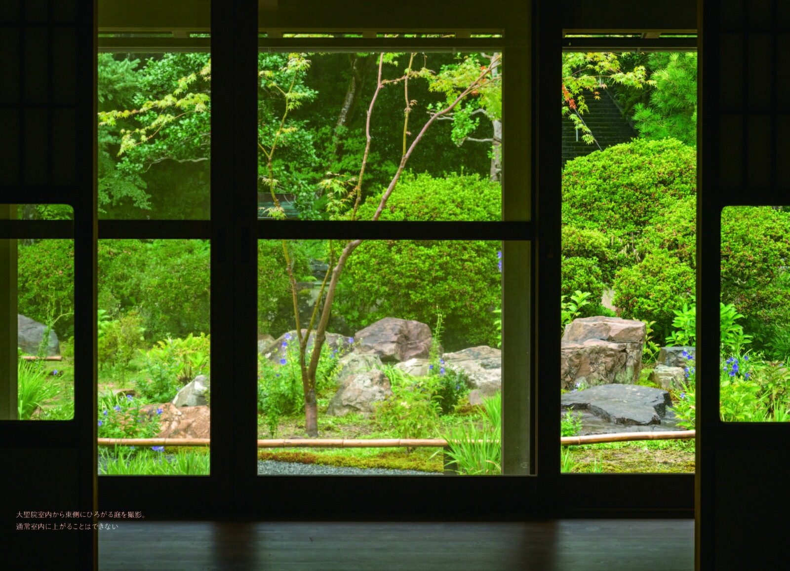 ���Τ����������ޤ��Ȥ�����λ��ؤ����դ��η�[��������]