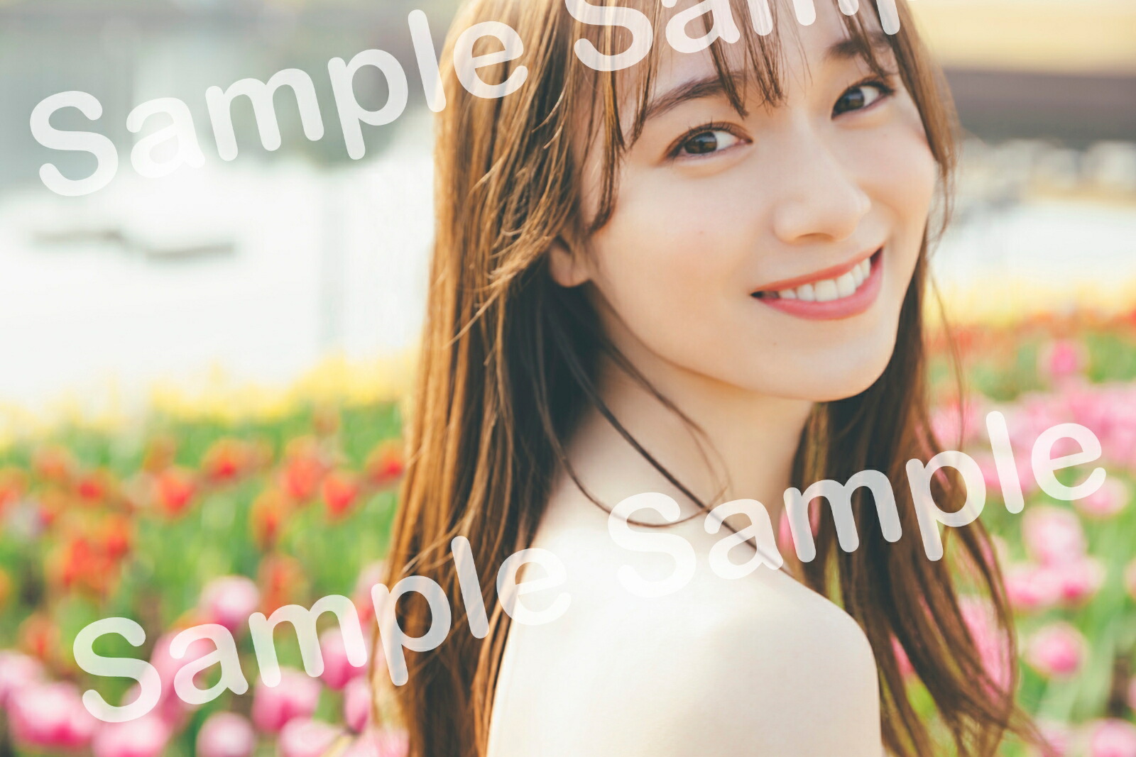 �ڳ�ŷ�֥å���������ŵ��ݯ��46�鲰����1st�̿����־д�Υ��������祭���ѡ���(���ꥫ�С�+���골���ݥ��ȥ�����1��)[�鲰����]