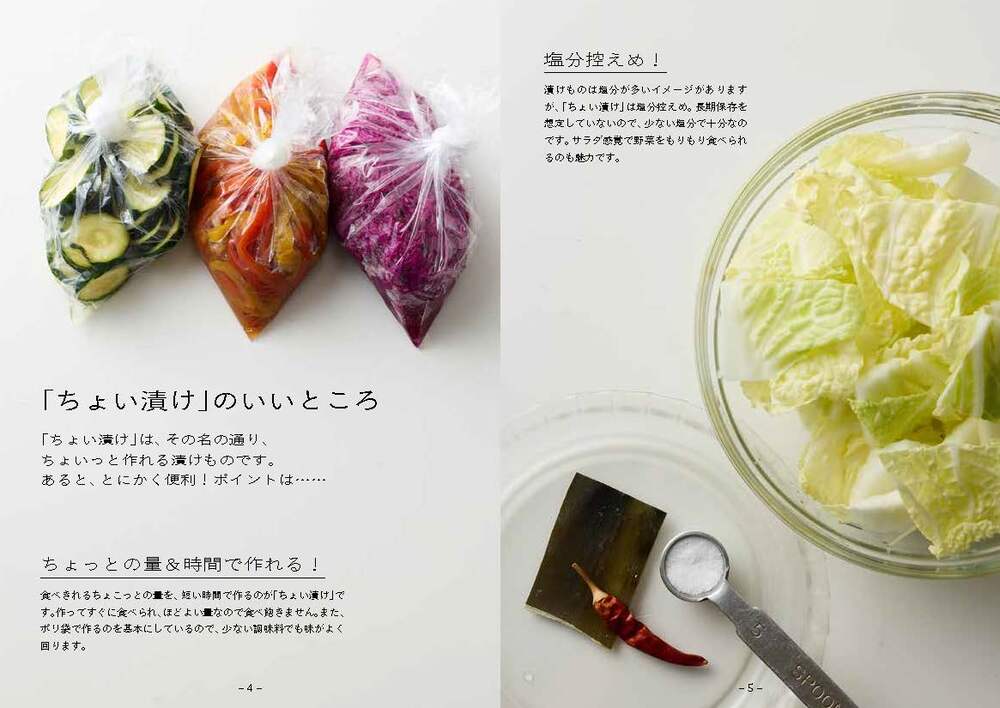【特典】ちょい漬け～サクッと作れて、ピタッと食べきる！(書いて消せる！ちょい漬け管理マグネット)[小林まさみ]