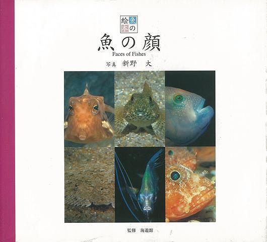 楽天ブックス バーゲン本 魚の絵本3 魚の顔 新野 大 本