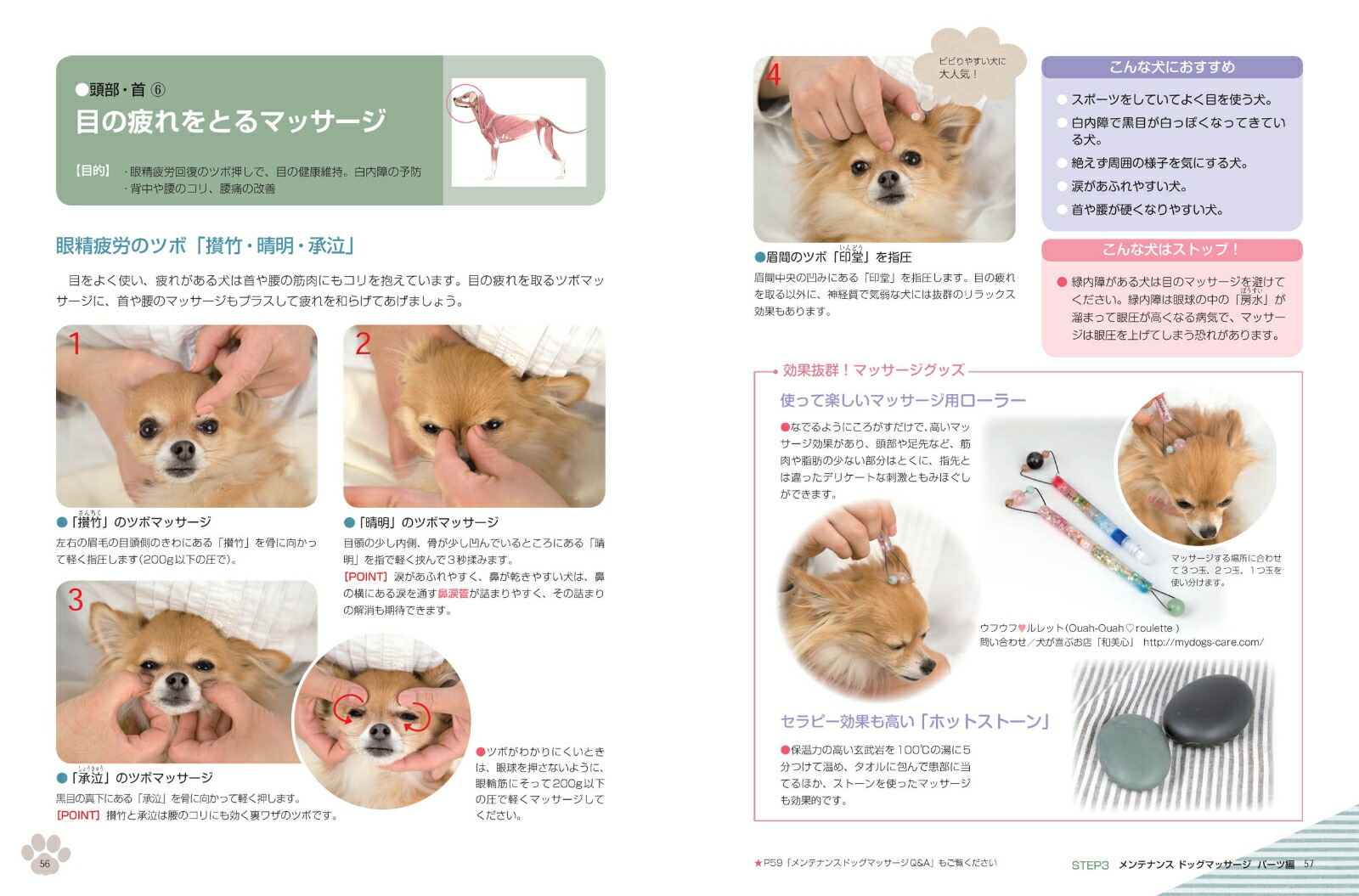 改訂版 メンテナンスドッグマッサージ 基礎編 [ 櫻井裕子 ]