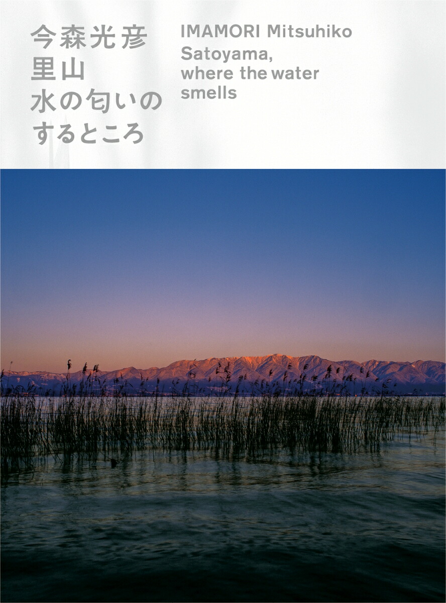 里山─水の匂いのするところ[滋賀県立美術館]